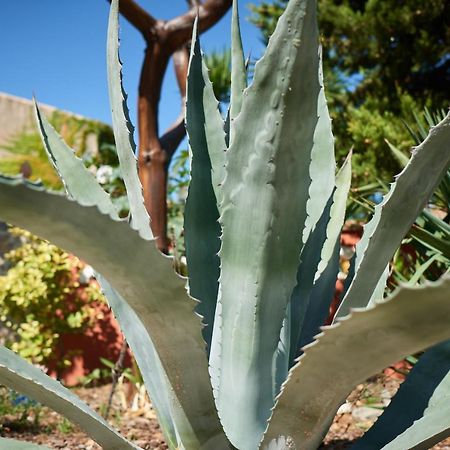 Jardin de Palme Daire La Palme Dış mekan fotoğraf