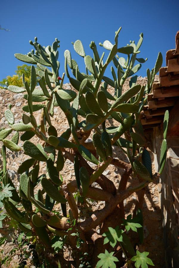 Jardin de Palme Daire La Palme Dış mekan fotoğraf