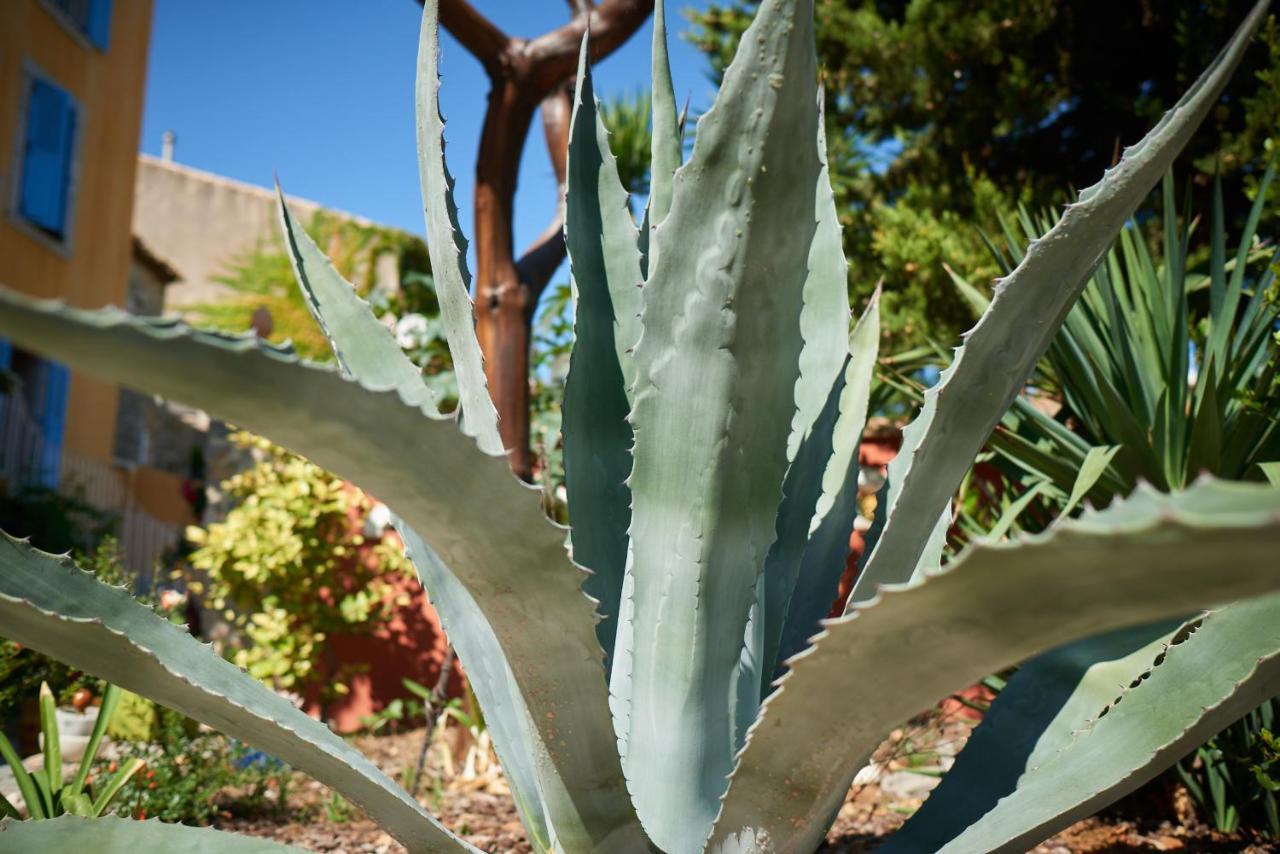 Jardin de Palme Daire La Palme Dış mekan fotoğraf